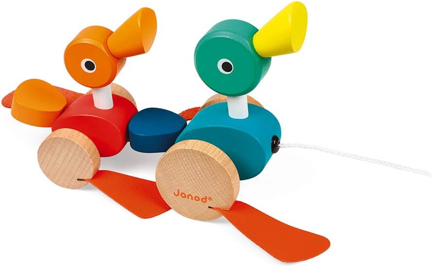 Patos para pasear con ruedas Janod