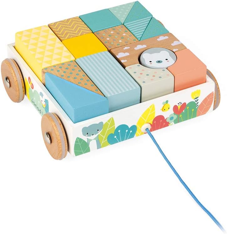 Juego de bloques de madera pastel de 16 piezas Pure Pull-Along Janod