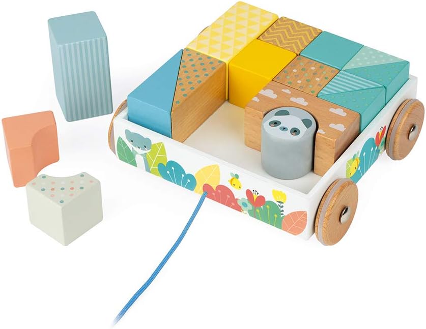 Juego de bloques de madera pastel de 16 piezas Pure Pull-Along Janod
